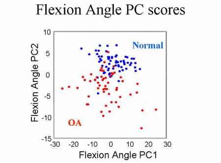 flexion angle PCs