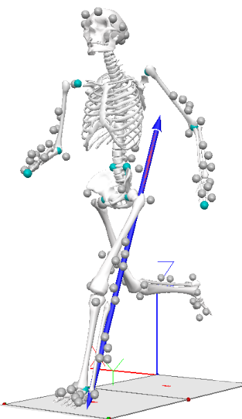 Running skeleton with movement markers