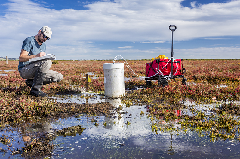 Scientist measuring greenhouse gas emissions at a wetland using a portable gas analyser
